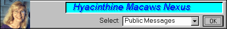 Write in search your favorite subject